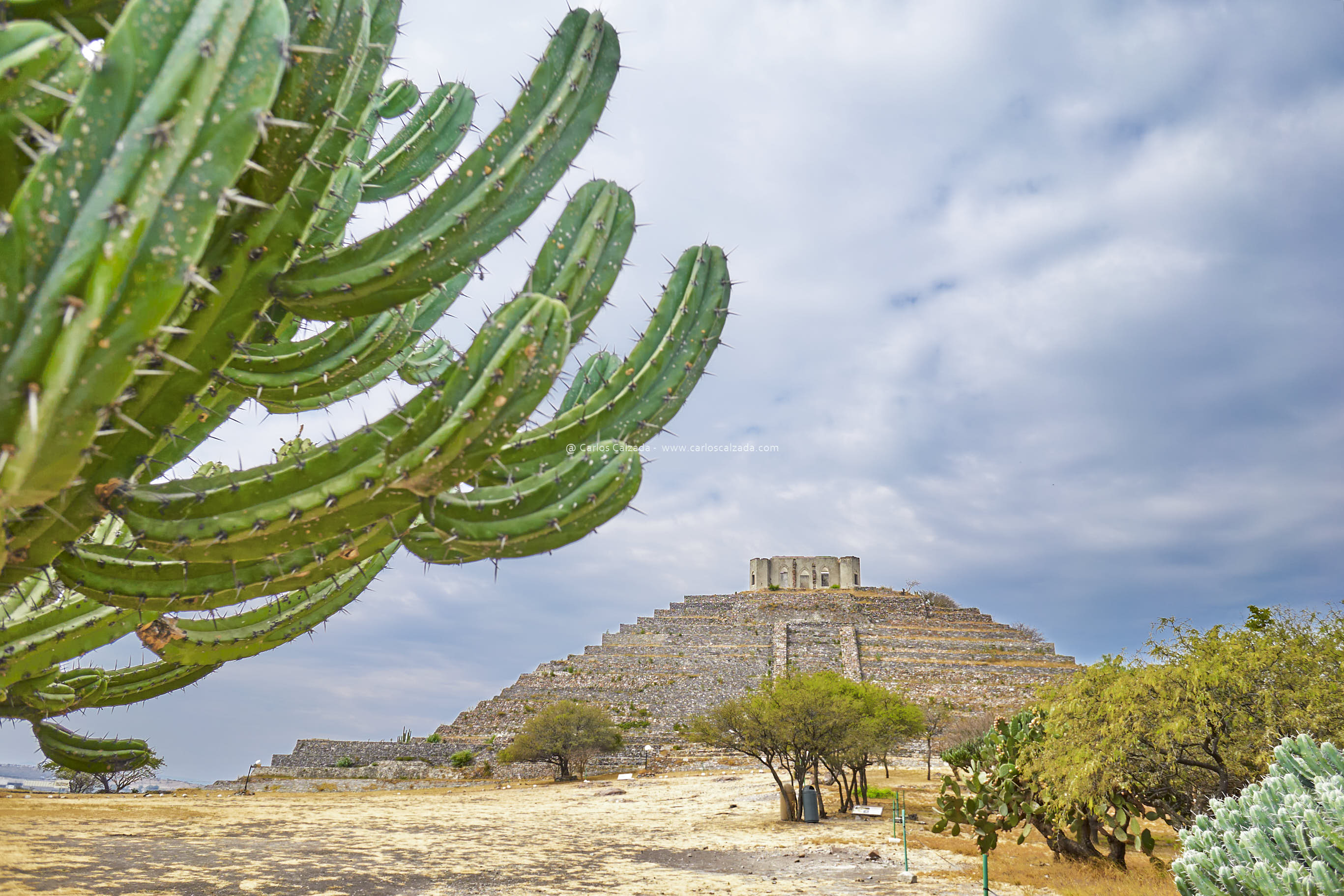 ene. 21 2022-El Pueblito-DSC06756.jpg